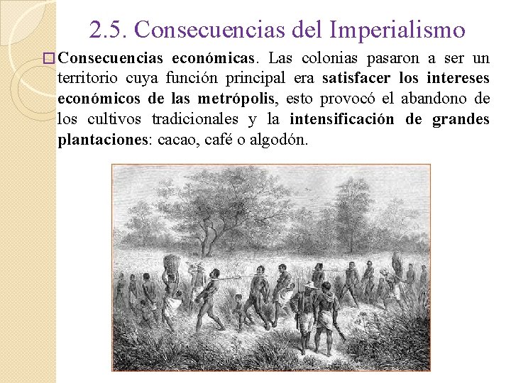 2. 5. Consecuencias del Imperialismo � Consecuencias económicas. Las colonias pasaron a ser un