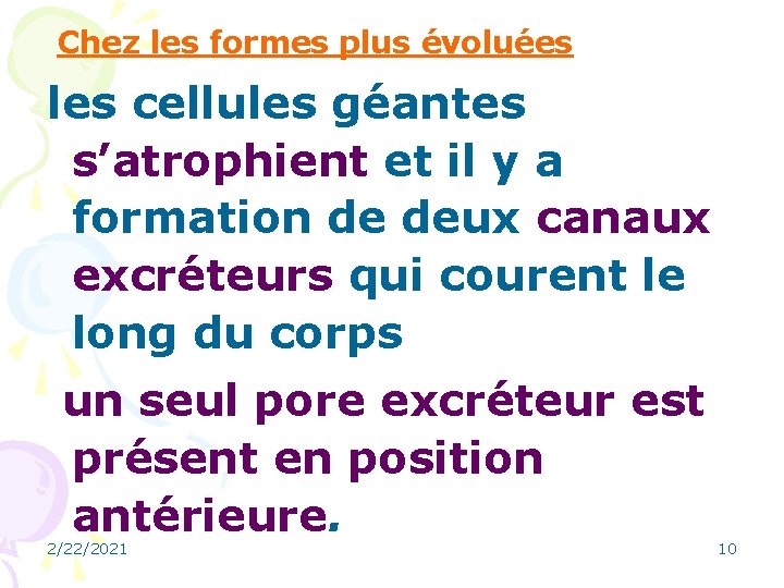  Chez les formes plus évoluées les cellules géantes s’atrophient et il y a