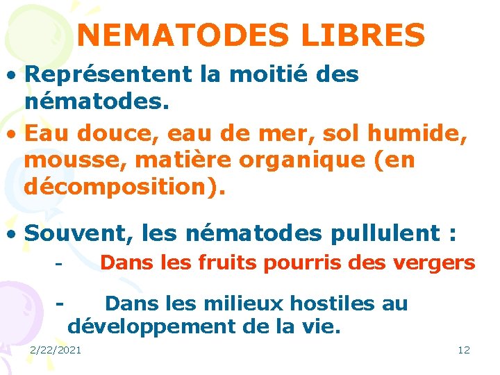 NEMATODES LIBRES • Représentent la moitié des nématodes. • Eau douce, eau de mer,