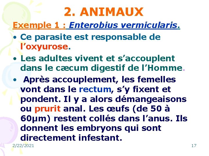 2. ANIMAUX Exemple 1 : Enterobius vermicularis. • Ce parasite est responsable de l’oxyurose.