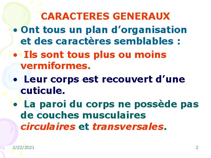 CARACTERES GENERAUX • Ont tous un plan d’organisation et des caractères semblables : •