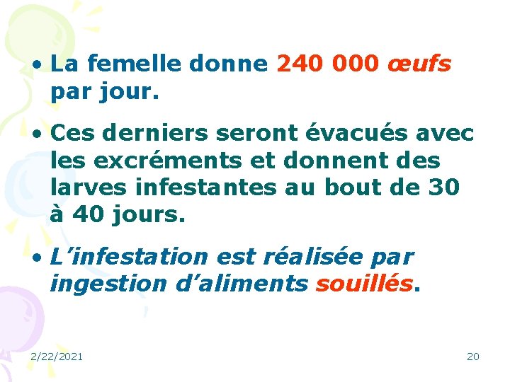  • La femelle donne 240 000 œufs par jour. • Ces derniers seront