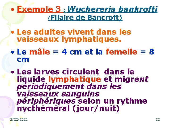  • Exemple 3 : Wuchereria bankrofti (Filaire de Bancroft) • Les adultes vivent