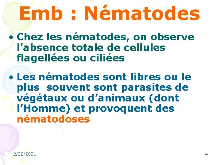 Emb : Nématodes • Chez les nématodes, on observe l’absence totale de cellules flagellées