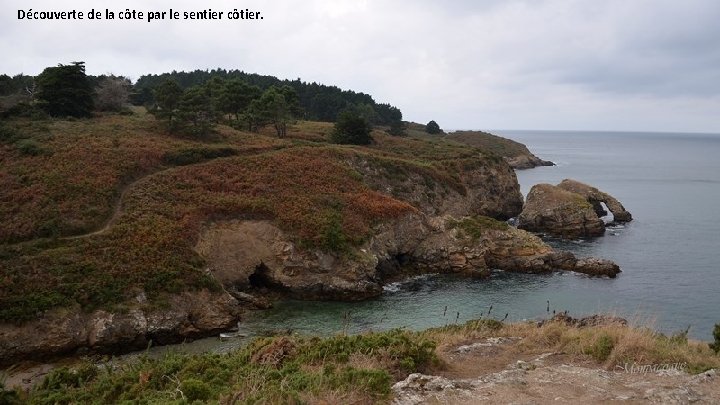 Découverte de la côte par le sentier côtier. 