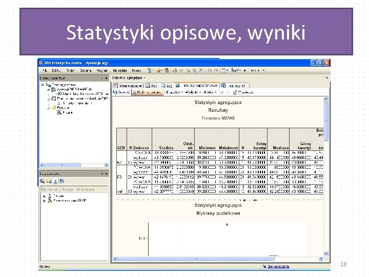 Statystyki opisowe, wyniki 18 