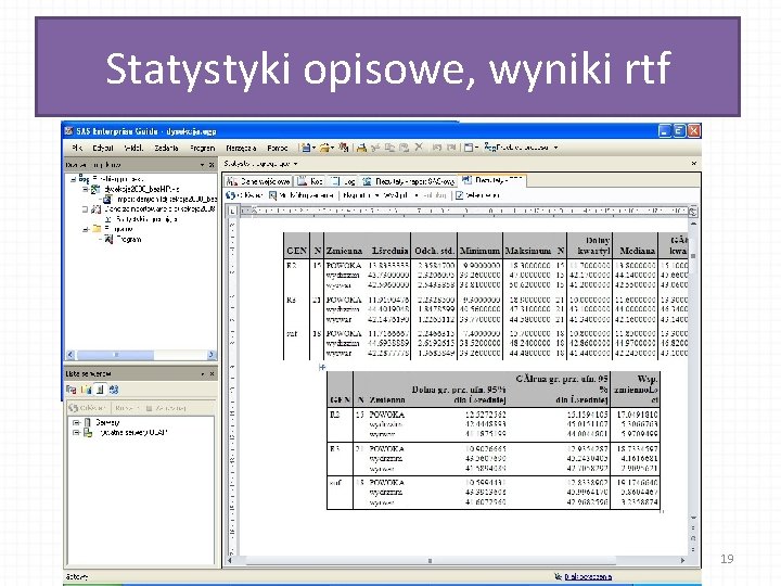 Statystyki opisowe, wyniki rtf 19 
