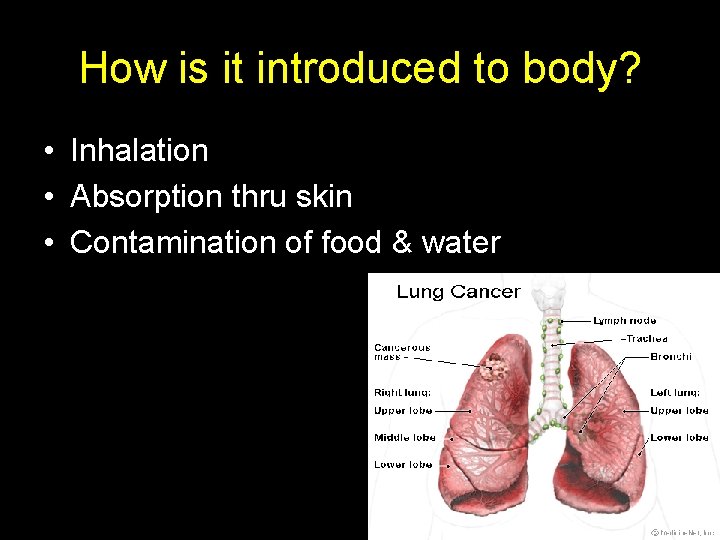 How is it introduced to body? • Inhalation • Absorption thru skin • Contamination