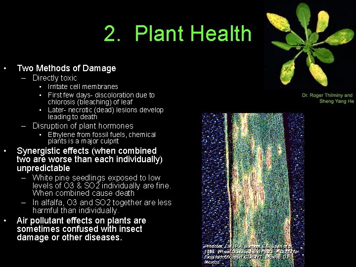 2. Plant Health • Two Methods of Damage – Directly toxic • Irritate cell