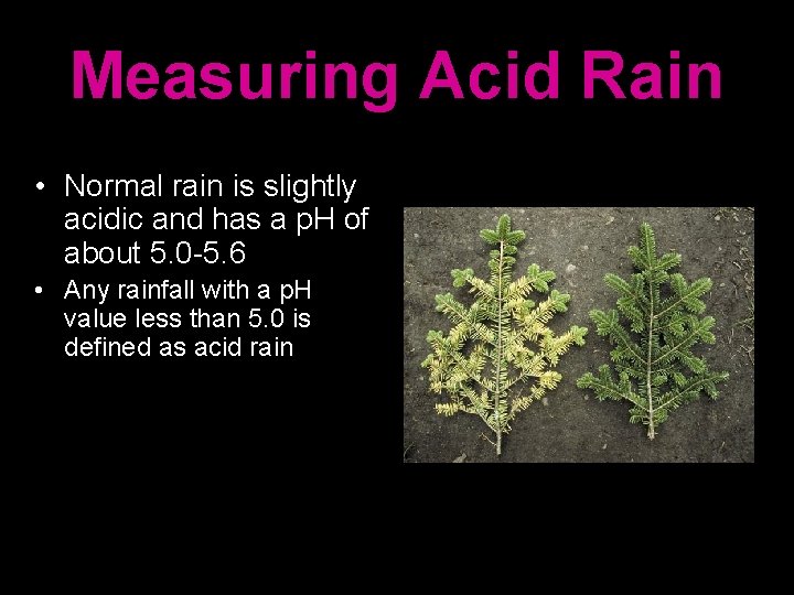 Measuring Acid Rain • Normal rain is slightly acidic and has a p. H