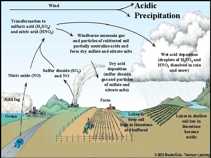 Acidic Precipitation Wind Transformation to sulfuric acid (H 2 SO 4) and nitric acid