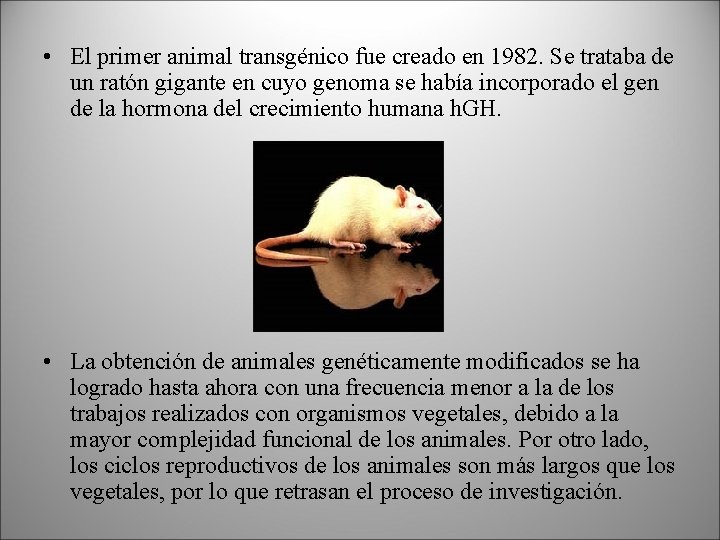  • El primer animal transgénico fue creado en 1982. Se trataba de un