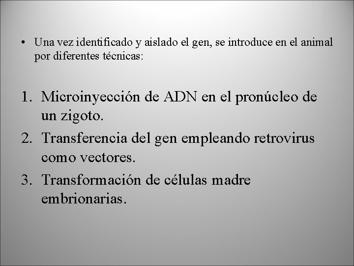  • Una vez identificado y aislado el gen, se introduce en el animal