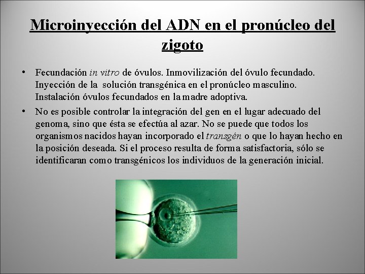 Microinyección del ADN en el pronúcleo del zigoto • Fecundación in vitro de óvulos.