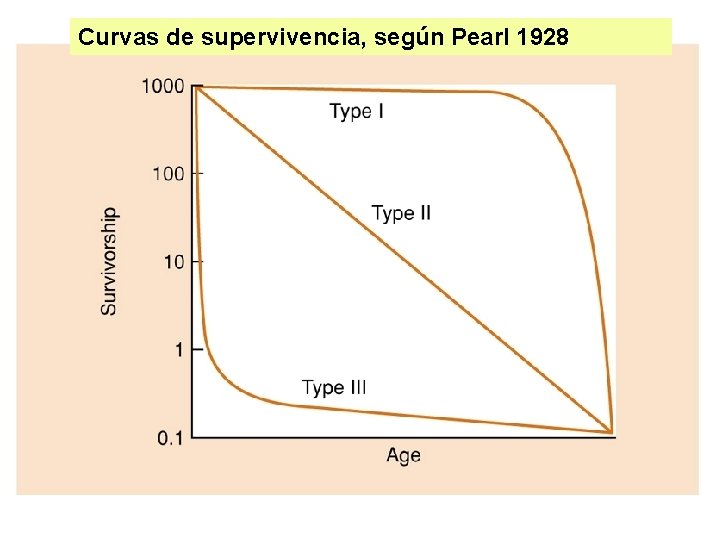 Curvas de supervivencia, según Pearl 1928 Curvas de supervivencia, según Pearl 1928