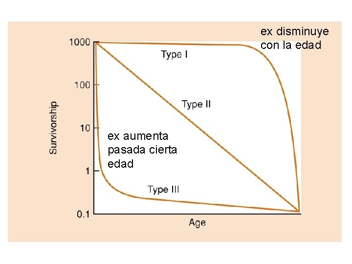 ex disminuye con la edad ex aumenta pasada cierta edad ex disminuye con la edad ex aumenta pasada cierta edad