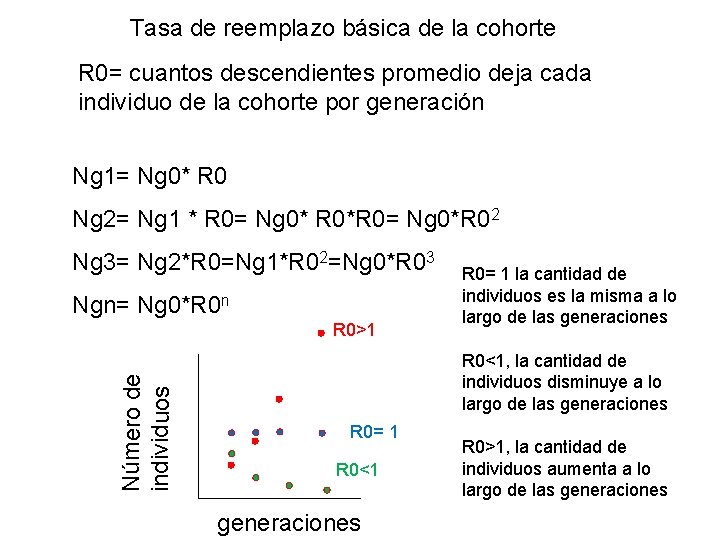 Tasa de reemplazo básica de la cohorte R 0= cuantos descendientes promedio deja cada Tasa de reemplazo básica de la cohorte R 0= cuantos descendientes promedio deja cada