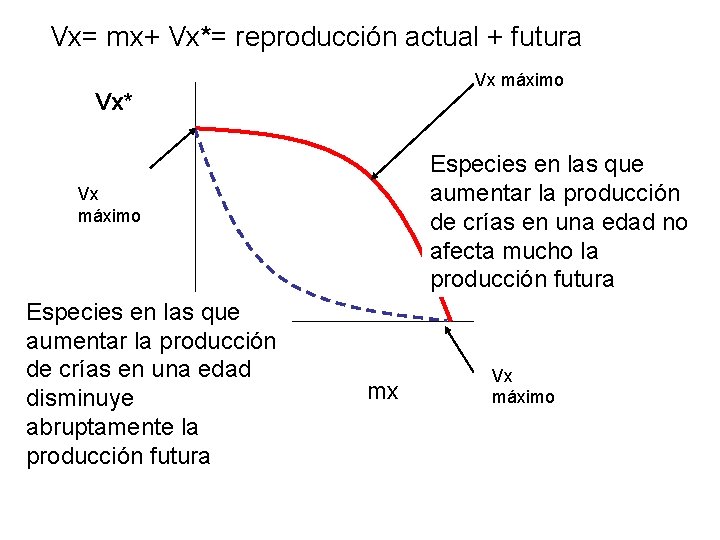 Vx= mx+ Vx*= reproducción actual + futura Vx máximo Vx* Especies en las que Vx= mx+ Vx*= reproducción actual + futura Vx máximo Vx* Especies en las que