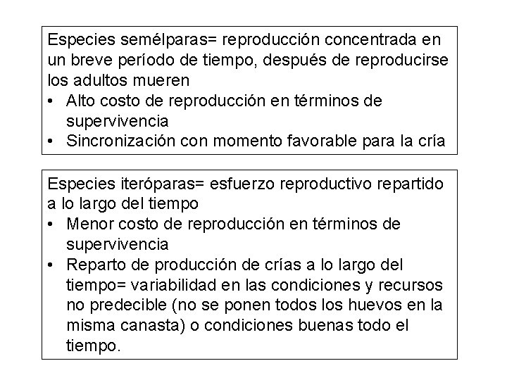 Especies semélparas= reproducción concentrada en un breve período de tiempo, después de reproducirse los Especies semélparas= reproducción concentrada en un breve período de tiempo, después de reproducirse los