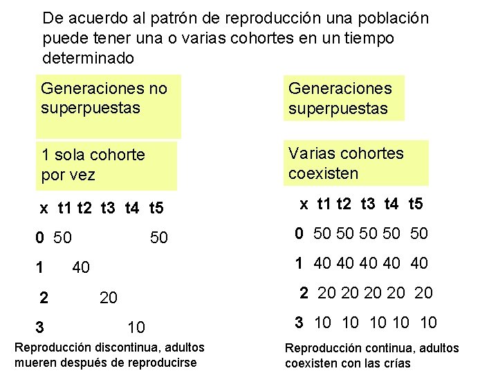 De acuerdo al patrón de reproducción una población puede tener una o varias cohortes De acuerdo al patrón de reproducción una población puede tener una o varias cohortes