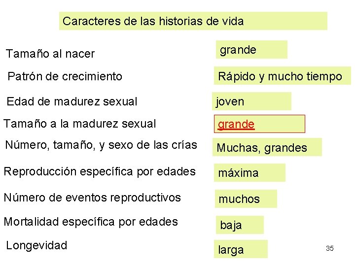 Caracteres de las historias de vida Tamaño al nacer grande Patrón de crecimiento Rápido Caracteres de las historias de vida Tamaño al nacer grande Patrón de crecimiento Rápido
