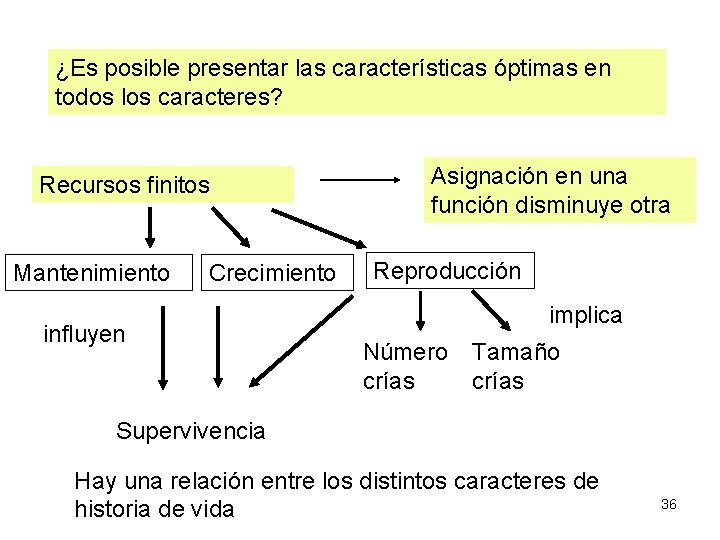 ¿Es posible presentar las características óptimas en todos los caracteres? Recursos finitos Mantenimiento Crecimiento ¿Es posible presentar las características óptimas en todos los caracteres? Recursos finitos Mantenimiento Crecimiento
