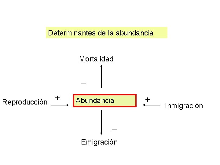 Determinantes de la abundancia Mortalidad _ Reproducción + Abundancia _ Emigración + Inmigración Determinantes de la abundancia Mortalidad _ Reproducción + Abundancia _ Emigración + Inmigración