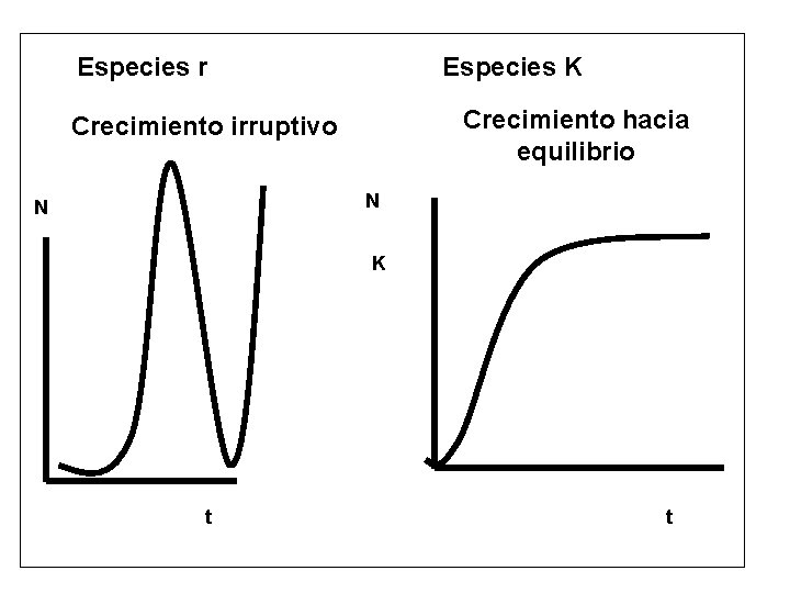 Especies r Especies K Crecimiento hacia equilibrio Crecimiento irruptivo N N K t t Especies r Especies K Crecimiento hacia equilibrio Crecimiento irruptivo N N K t t