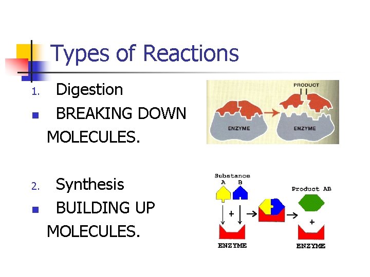 Types of Reactions 1. n 2. n Digestion BREAKING DOWN MOLECULES. Synthesis BUILDING UP