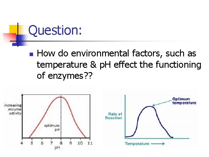 Question: n How do environmental factors, such as temperature & p. H effect the