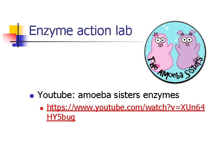 Enzyme action lab n Youtube: amoeba sisters enzymes n https: //www. youtube. com/watch? v=XUn