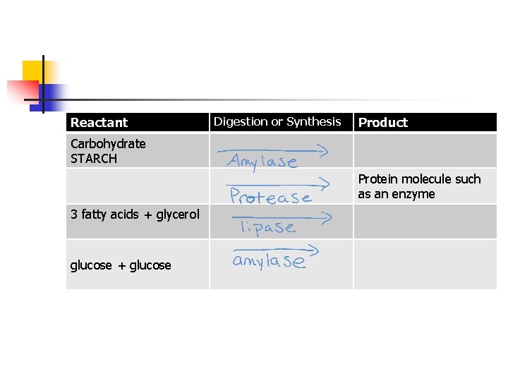 Reactant Digestion or Synthesis Product Carbohydrate STARCH Protein molecule such as an enzyme 3