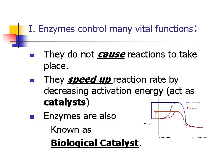 I. Enzymes control many vital functions: n n n They do not cause reactions