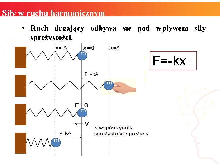 Siły w ruchu harmonicznym • Ruch drgający odbywa się pod wpływem siły sprężystości. F=-kx