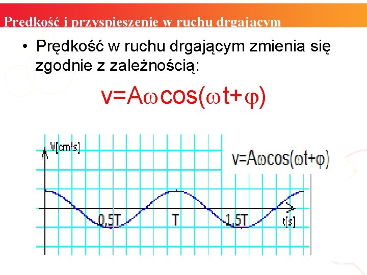 Prędkość i przyspieszenie w ruchu drgającym • Prędkość w ruchu drgającym zmienia się zgodnie