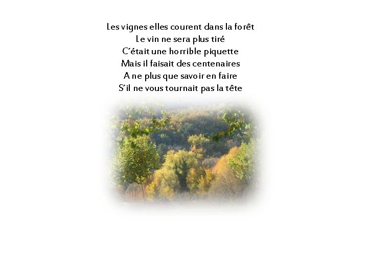 Les vignes elles courent dans la forêt Le vin ne sera plus tiré C´était