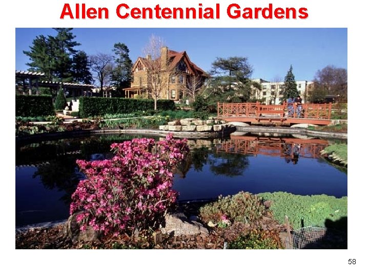 Allen Centennial Gardens 58 