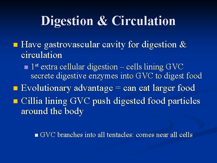 Digestion & Circulation n Have gastrovascular cavity for digestion & circulation n 1 st