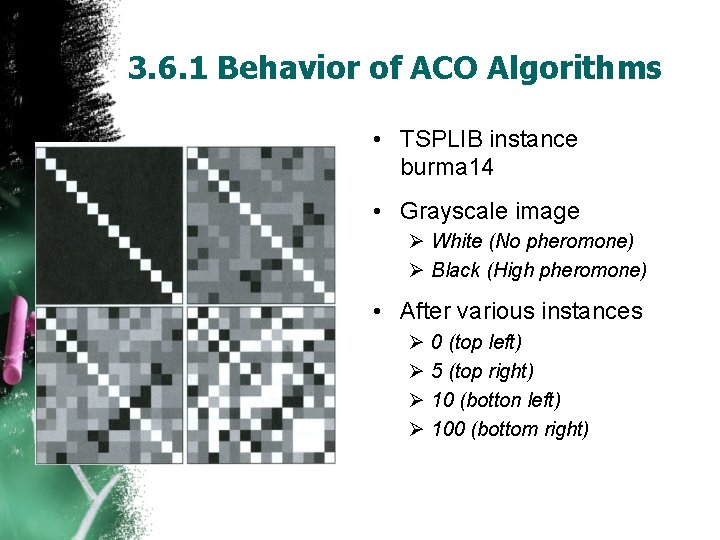 3. 6. 1 Behavior of ACO Algorithms • TSPLIB instance burma 14 • Grayscale