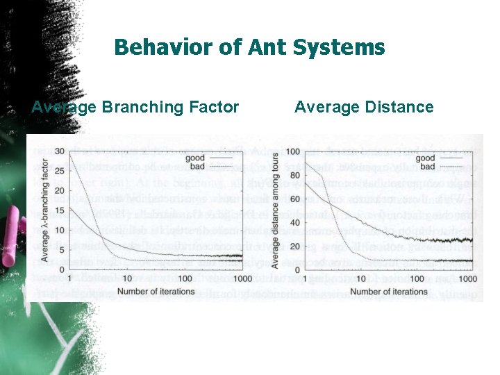 Behavior of Ant Systems Average Branching Factor Average Distance 