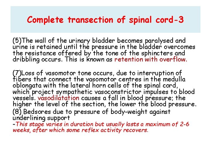 Complete transection of spinal cord-3 (5)The wall of the urinary bladder becomes paralysed and