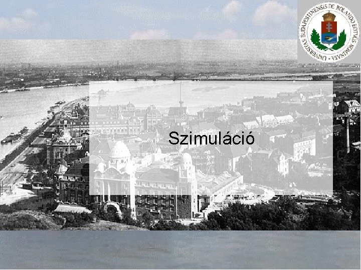 Szimuláció 