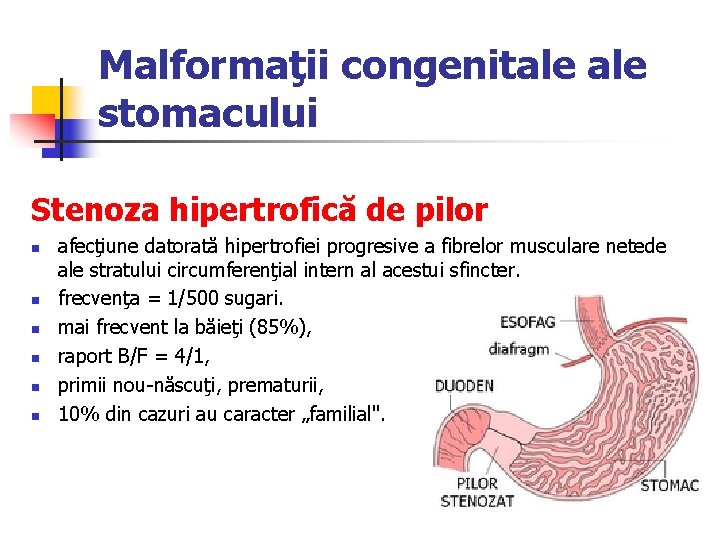 Malformaţii congenitale stomacului Stenoza hipertrofică de pilor n n n afecţiune datorată hipertrofiei progresive