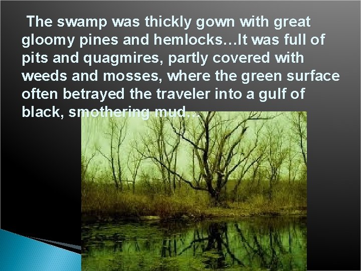 The swamp was thickly gown with great gloomy pines and hemlocks…It was full of