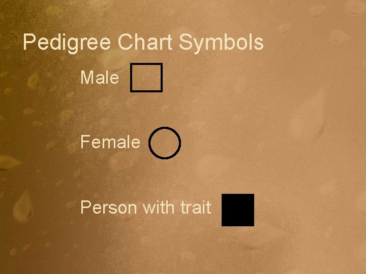 Pedigree Chart Symbols Male Female Person with trait 