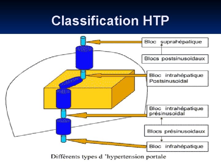 Classification HTP 