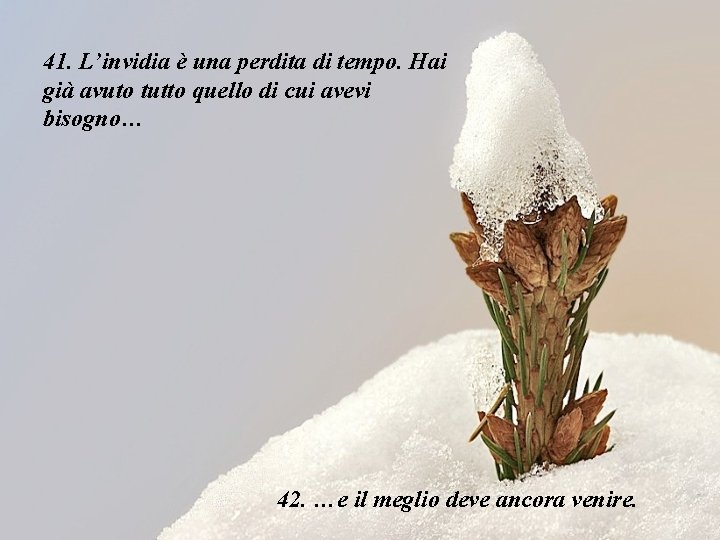 41. L’invidia è una perdita di tempo. Hai già avuto tutto quello di cui