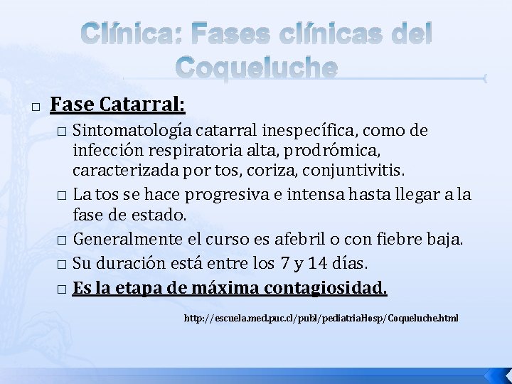 Clínica: Fases clínicas del Coqueluche � Fase Catarral: Sintomatología catarral inespecífica, como de infección