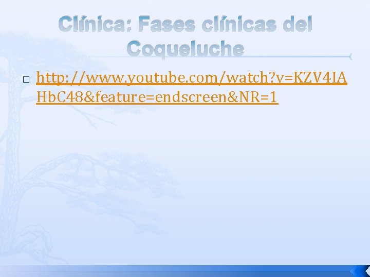 Clínica: Fases clínicas del Coqueluche � http: //www. youtube. com/watch? v=KZV 4 IA Hb.