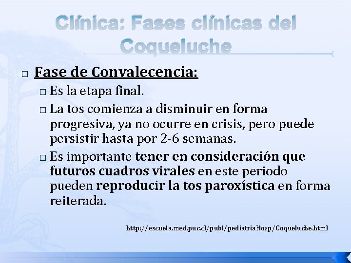 Clínica: Fases clínicas del Coqueluche � Fase de Convalecencia: Es la etapa final. � Clínica: Fases clínicas del Coqueluche � Fase de Convalecencia: Es la etapa final. �